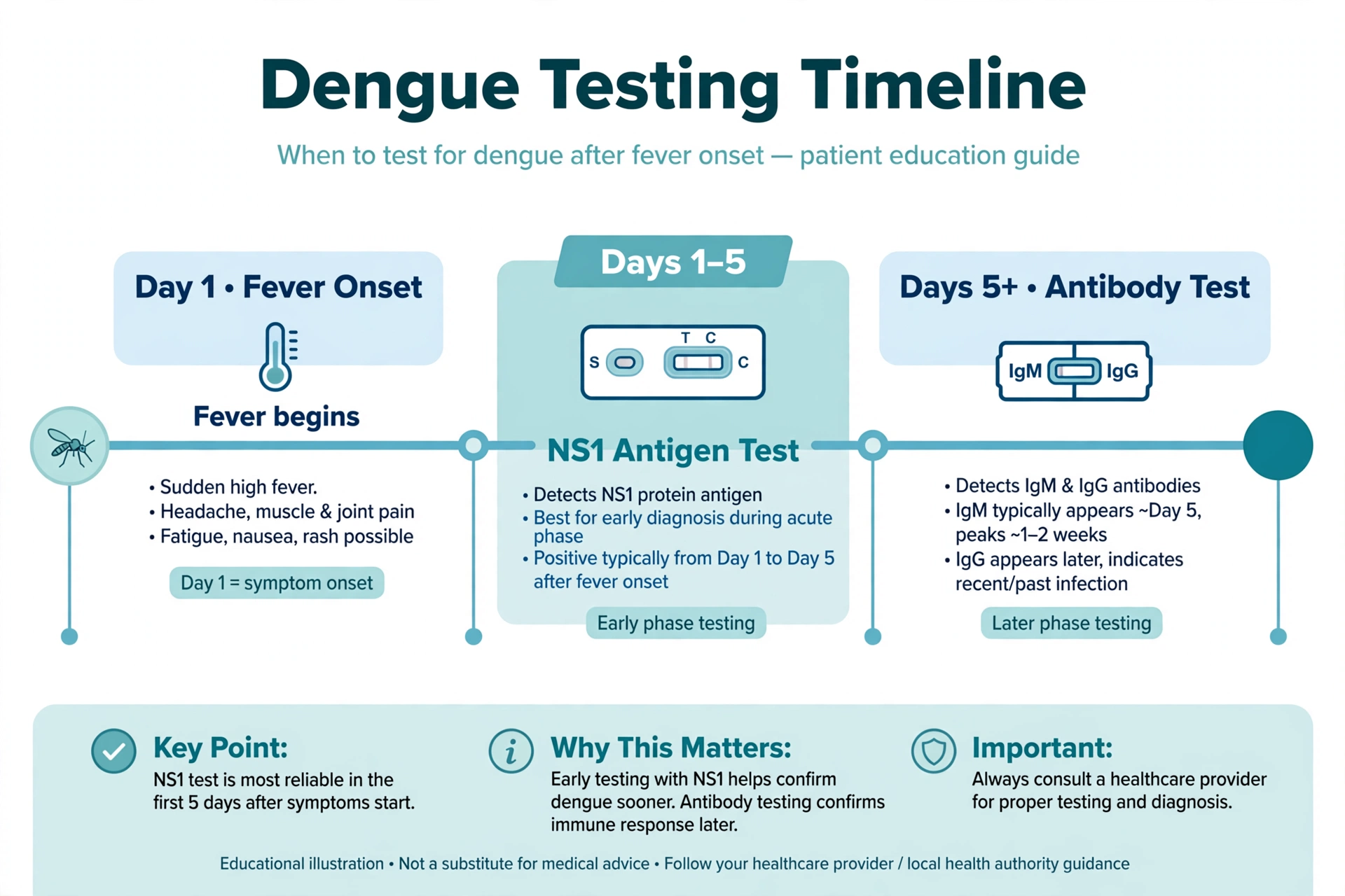 Dengue NS1 antigen test infographic